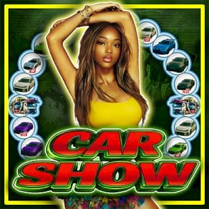 Car Show Spinner screenshot
