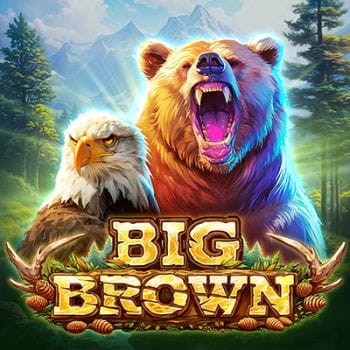 Big Brown Bear screenshot